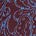 maxikleid mit paisley-print und fil-coupé-muster